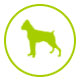 Comportementalisme canine