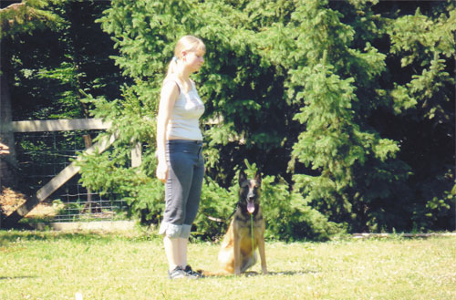 Éducation canine toutes races