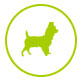 Éducation canine