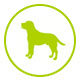 Pension Canine
